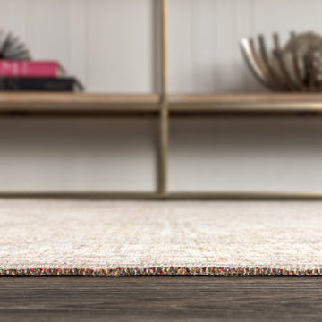 Darija Ornate Geometric Medallion Area Rug